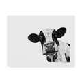 Trademark Fine Art Let Your Art Soar 'Cow Line Art' Canvas Art, 18x24 ALI42501-C1824GG